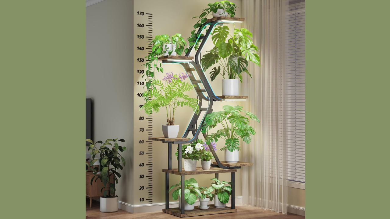 Plant shelf room divider creates a green space