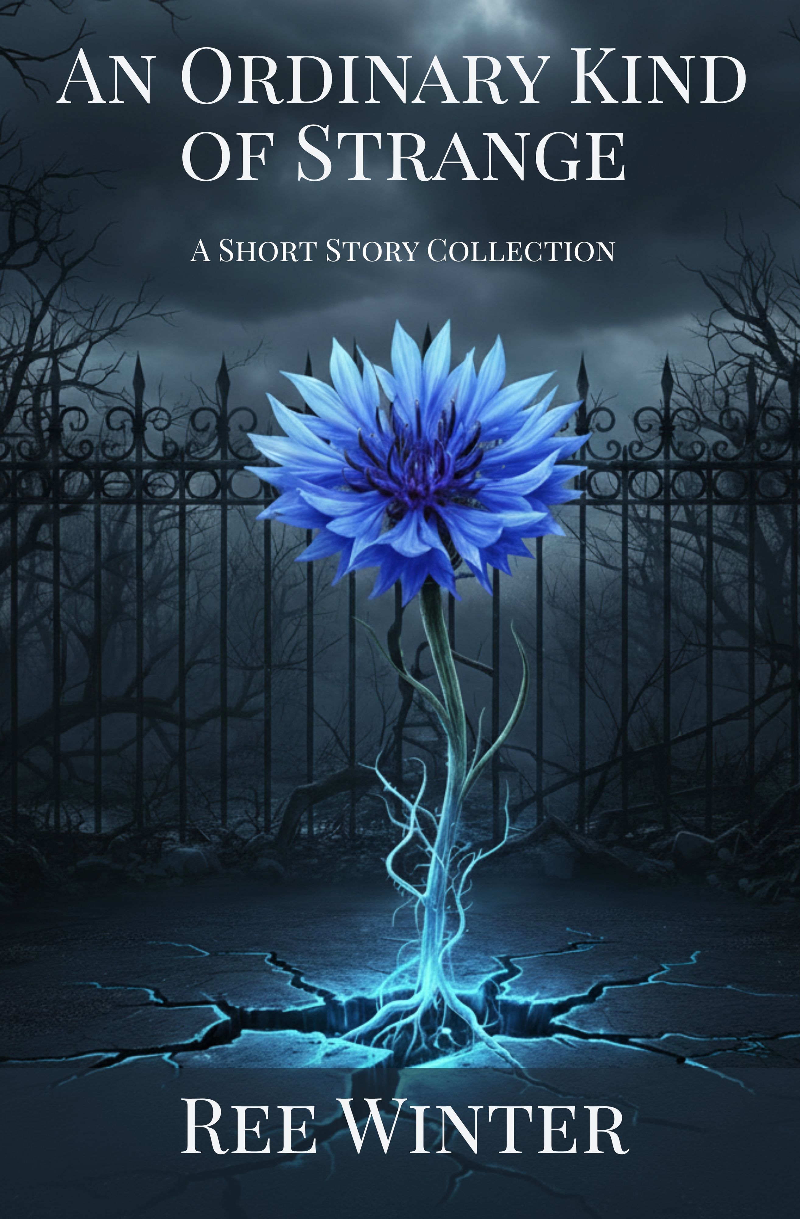 An Ordinary Kind of Strange - A Short Story Collection book cover
